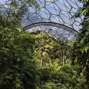 Inside the Eden Project's Rainforest Biome
